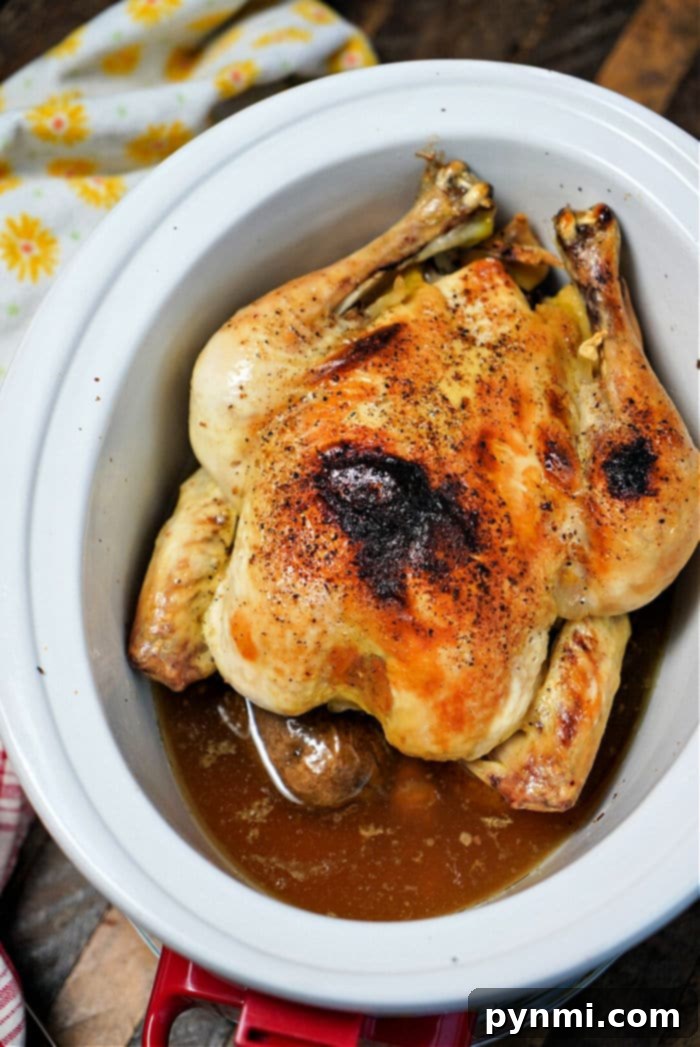 A frozen whole chicken, perfectly seasoned with pepper, rests in a Crockpot, nestled in savory juices with a yellow floral cloth adding charm.