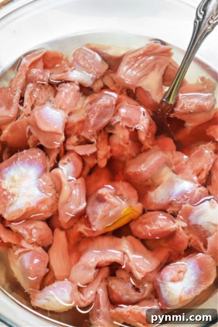 Southern-Style Gizzards and Gravy 4 Chicken Gizzards