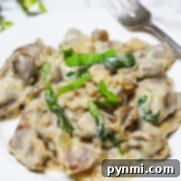gizzards and gravy