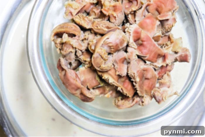 A serving of homemade chicken gizzard gravy, showcasing its rich texture and color.