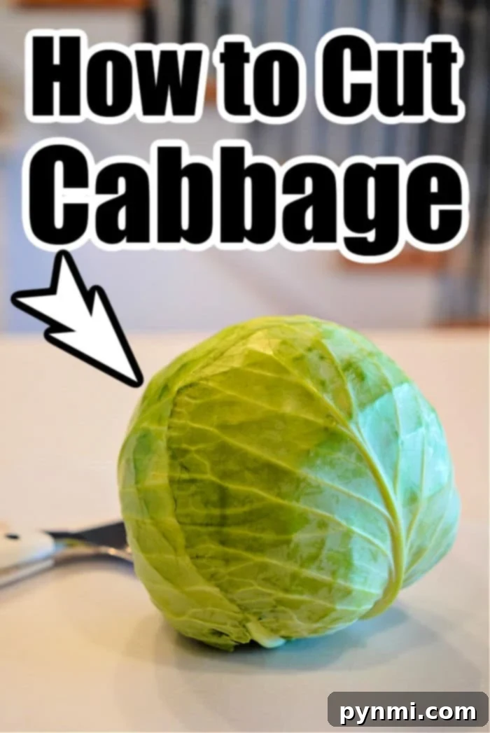 how to cut cabbage for various dishes