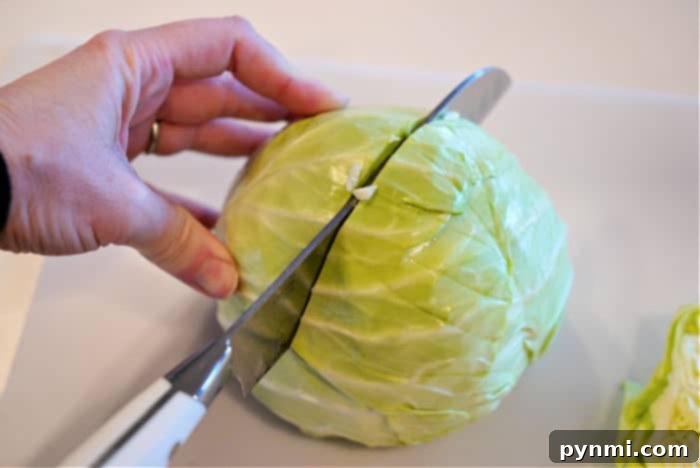 Demonstrating how to cut cabbage, the process begins by expertly slicing a fresh green cabbage on a cutting board with precision using a sharp kitchen knife.