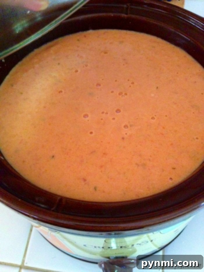 The best homemade tomato bisque recipe, creamy and delicious, made with canned tomatoes. A family favorite soup that everyone will adore. A close-up shot of the creamy texture of the best tomato bisque, inviting you to savor its rich flavor.