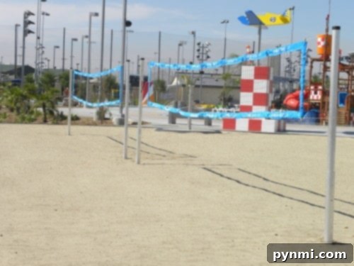 DropZone Perris Water Park: Is It Worth the Splash 11 Multiple beach volleyball courts on a sandy ground with blue nets are located near an outdoor recreational area at Perris Water Park, featuring colorful structures like a red and white checkered tower and a blue airplane. Floodlights and poles stand visible in the background.