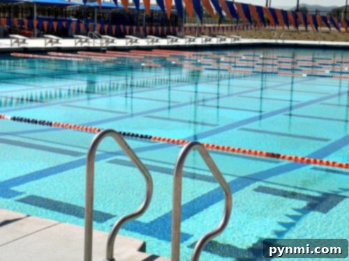DropZone Perris Water Park: Is It Worth the Splash 7 perris swimming pool