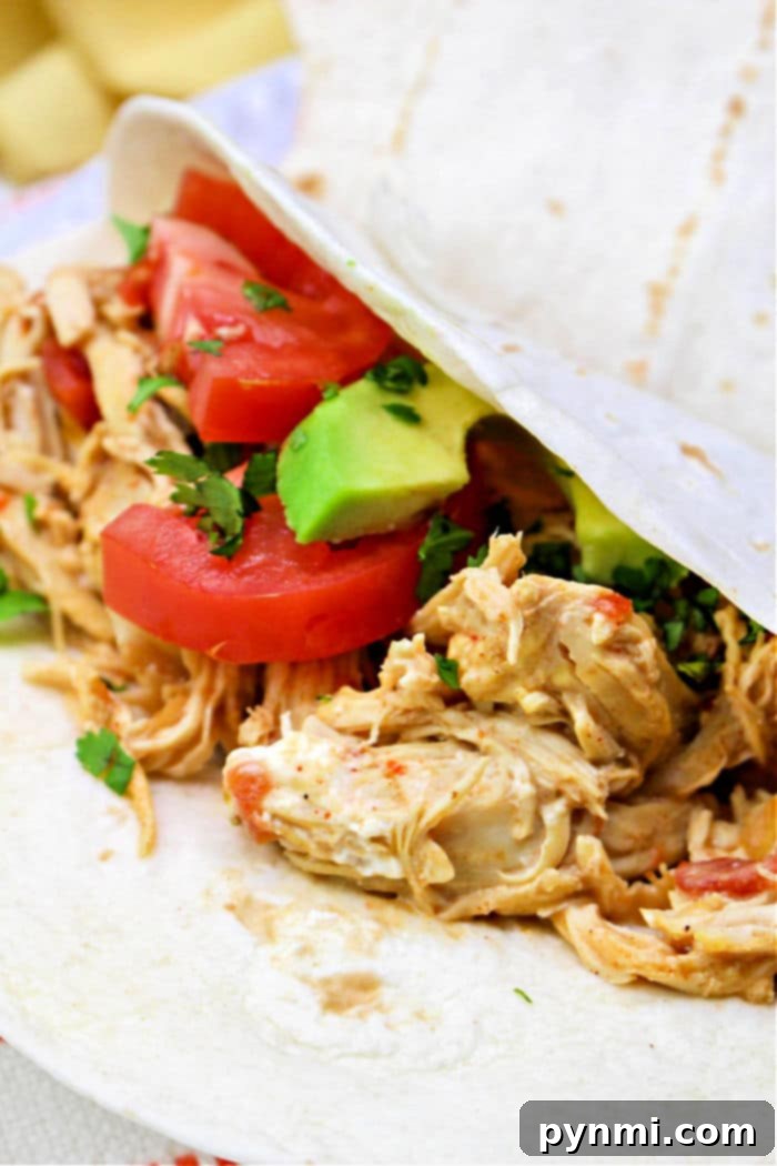 Fall-Apart Pressure Cooker Chicken Tacos 2 A close-up of a soft taco reveals pressure cooker chicken, infused with flavor, alongside sliced tomatoes, avocado, and cilantro on a white tortilla.