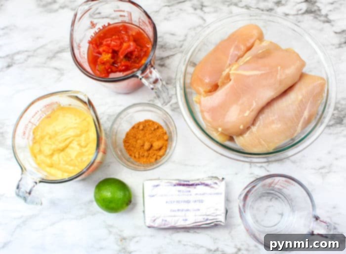 Fall-Apart Pressure Cooker Chicken Tacos 3 Queso Chicken ingredients