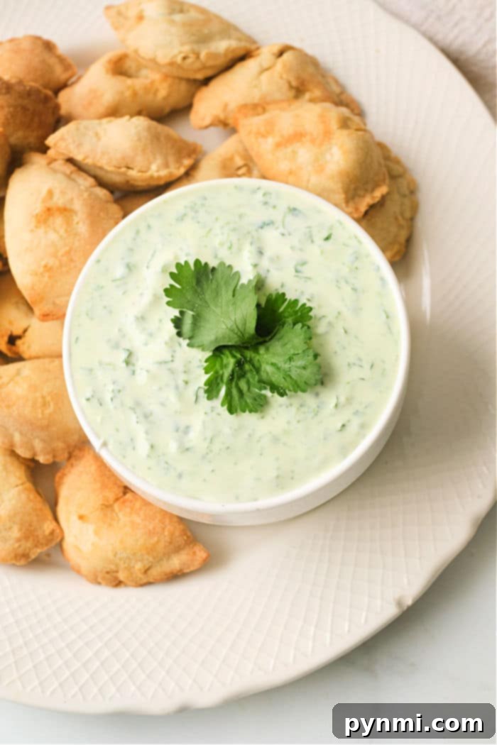 Zesty Empanada Dips 5 Close up of fresh cilantro and lime, key ingredients for the Mexican dip