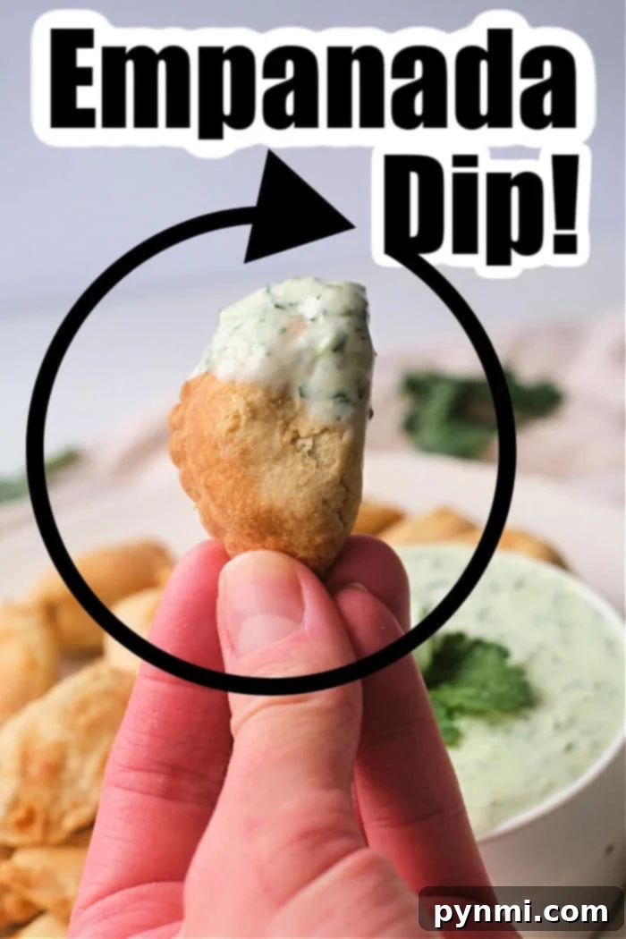 Zesty Empanada Dips 6 Delicious empanadas arranged around a bowl of creamy dipping sauce