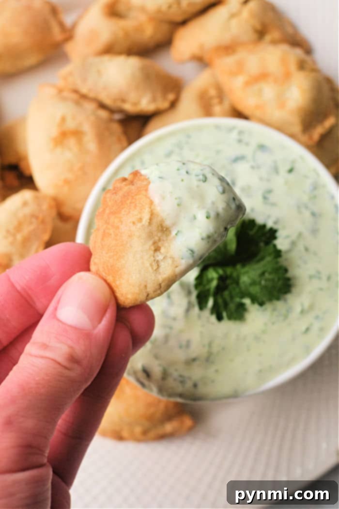 Zesty Empanada Dips 7 A bowl of creamy empanada dipping sauce with fresh cilantro garnish, ready to serve.