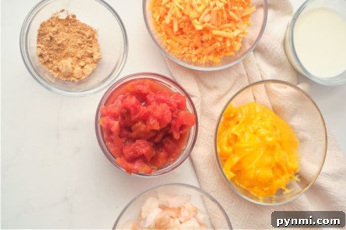 A serving dish of creamy shrimp dip, garnished with fresh cilantro and ready for dippers like tortilla chips.