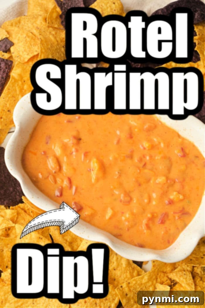 An overhead shot of cheesy Rotel dip with succulent shrimp, surrounded by vibrant corn chips, perfect for a party.