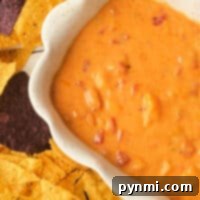 A bowl of Creamy Shrimp Rotel Dip with cheesy goodness and tomato chunks, surrounded by a colorful array of yellow and blue corn tortilla chips.