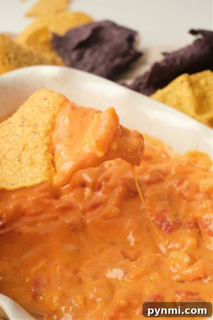 A vibrant bowl of Rotel dip with shrimp, surrounded by a colorful array of tortilla chips, ready for a festive party setting.