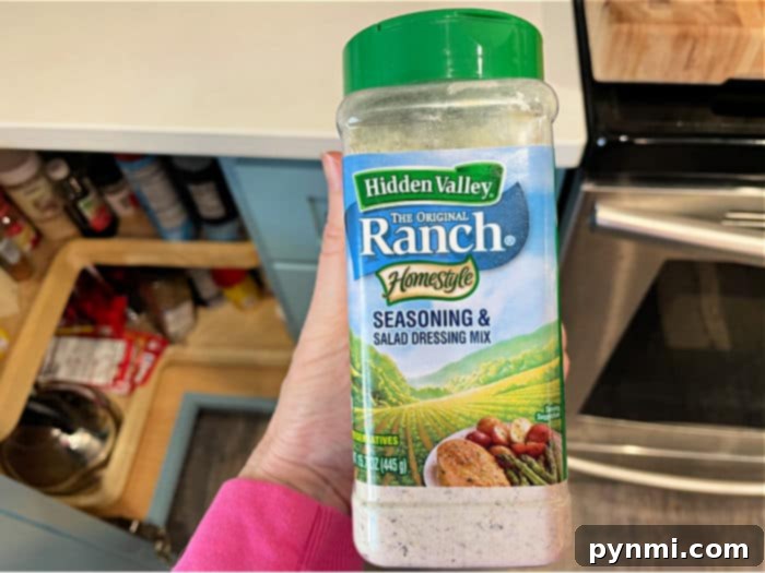 Lawson Inspired Homemade Chip Dip 3 A small bowl of dry ranch seasoning mix, a key ingredient for the homemade dip.