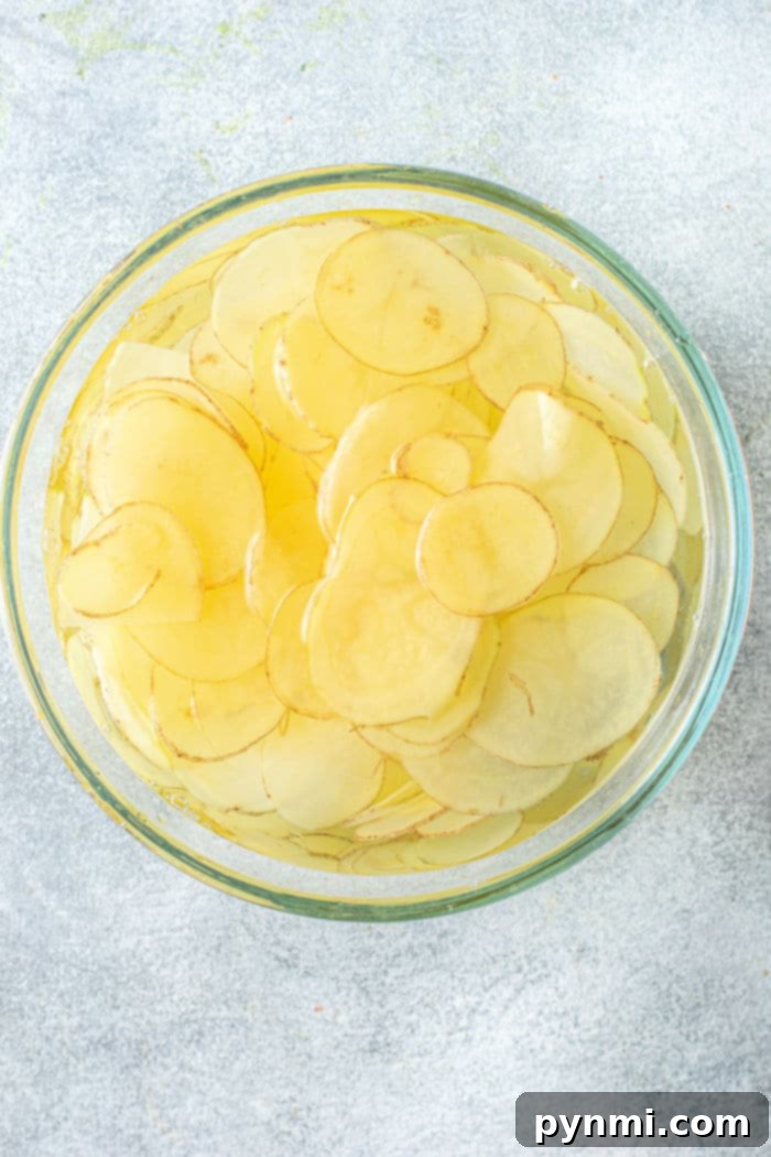 The Russet Crunch 3 how to make potato chips