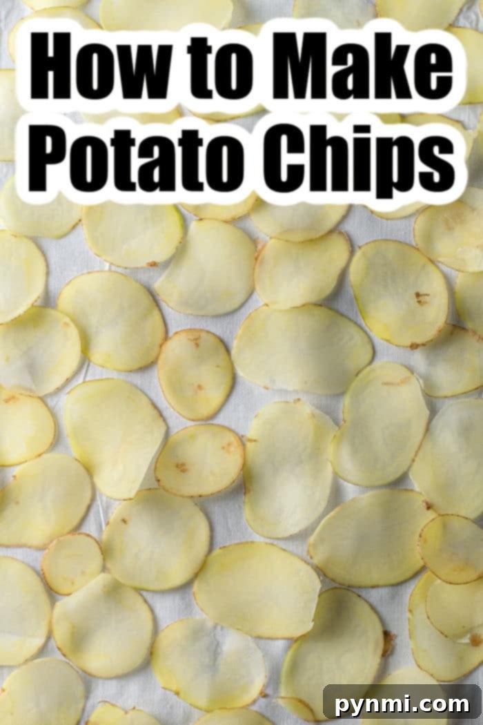 The Russet Crunch 4 dark Russet Potato Chips