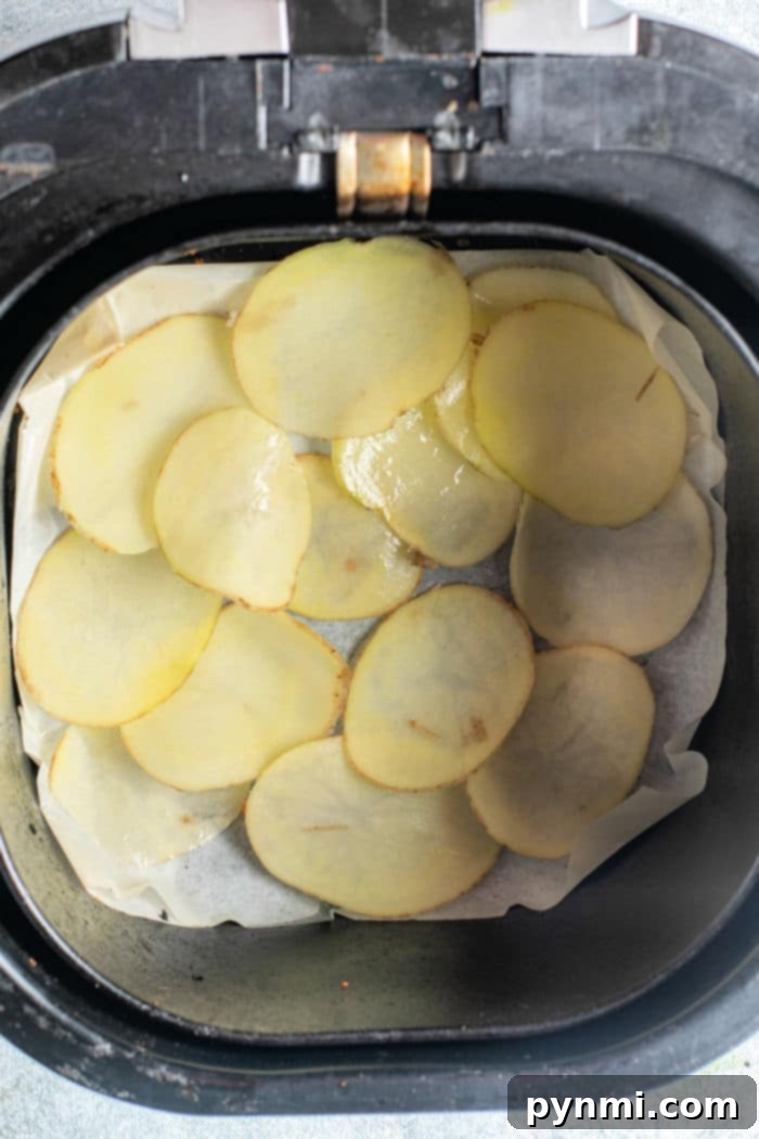 The Russet Crunch 5 air fryer potato chips