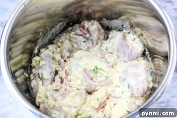 Instant Pot Tahini Chicken
