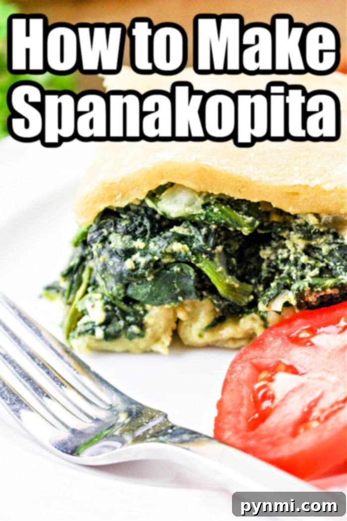 Trader Joe's Spanakopita: Savory Greek Bites 2 how to make spanakopita