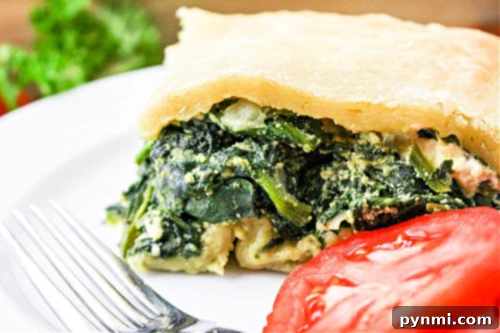 Trader Joe's Spanakopita: Savory Greek Bites 7 easy spanakopita recipe