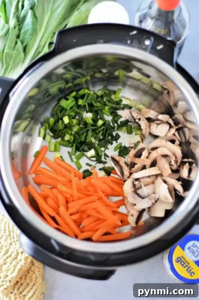 Easy Instant Pot Ramen 7 An overhead view of an Instant Pot reveals a delightful Vegetable Ramen with sliced carrots, chopped green onions, and mushrooms. Surrounding the pot are garlic, soy sauce, and leafy greens on a countertop.
