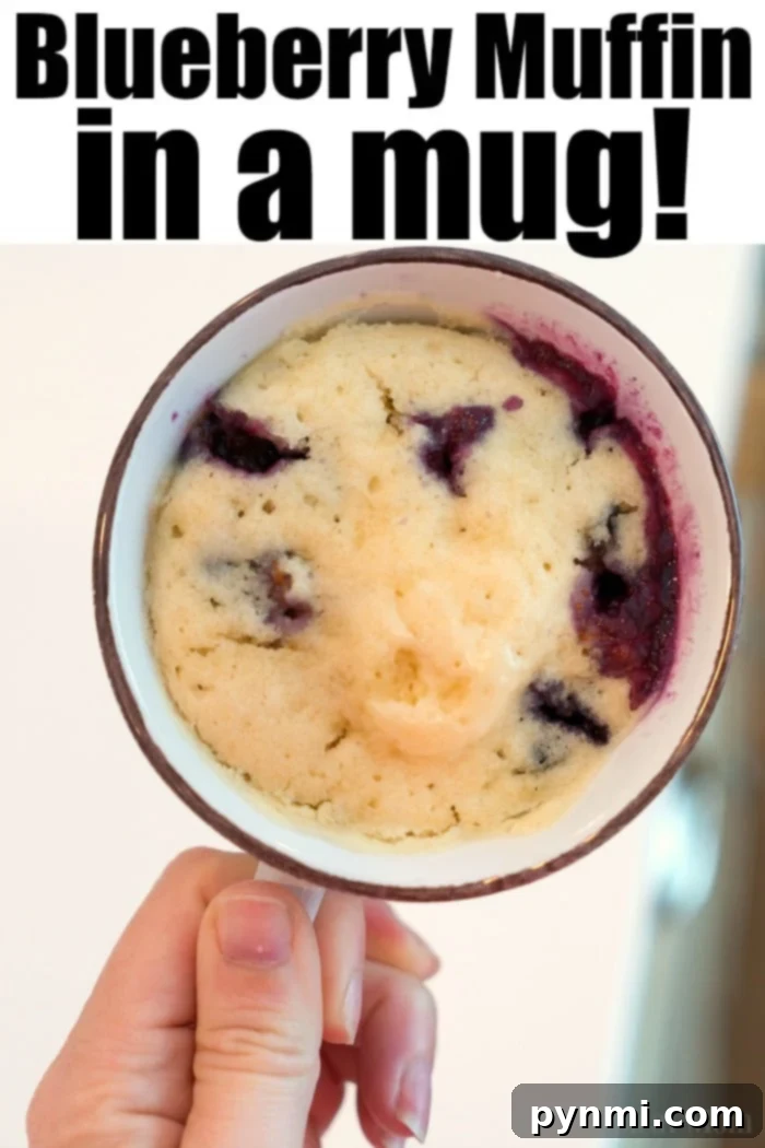 Delicious Blueberry Muffin in a Mug, perfect for kids to make