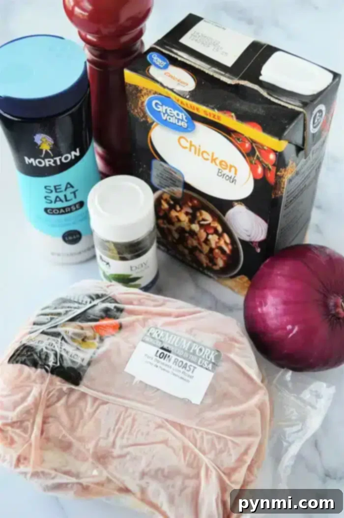 Ultimate Ninja Foodi Pork Dishes 5 A selection of ingredients for Ninja Foodi pork recipes is displayed, featuring a package of pork loin roast, a container of coarse sea salt, a jar labeled "bay," a carton of chicken broth, a red onion, and a pepper grinder.