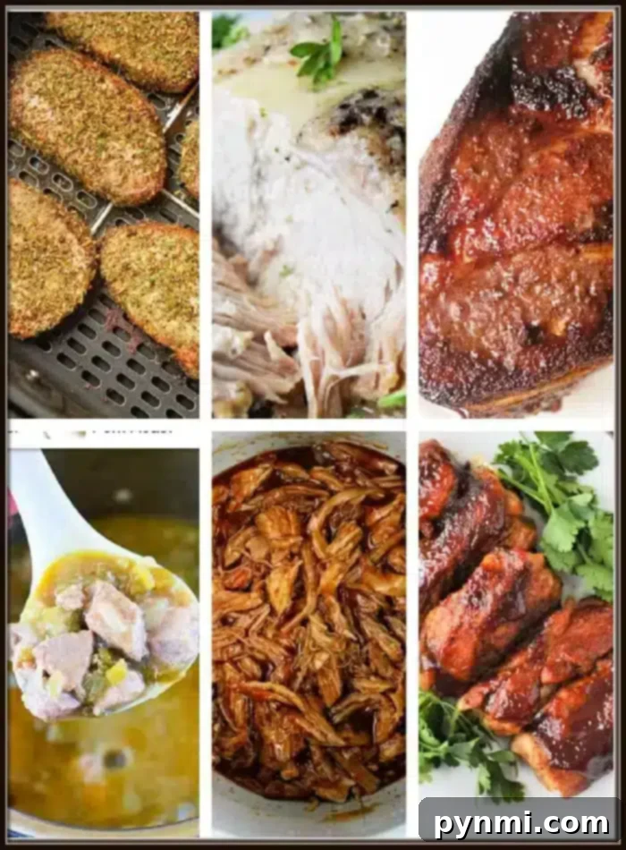Ultimate Ninja Foodi Pork Dishes 7 A collage of six images showcases Ninja Foodi pork recipes: seasoned bread slices, sliced white meat with sauce, glazed meat with crispy skin, a savory meat stew in a bowl, shredded pork in sauce, and sliced meat garnished with herbs.