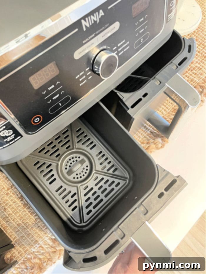 Ninja Foodi Dual Air Fryer review highlighting its dual basket functionality.