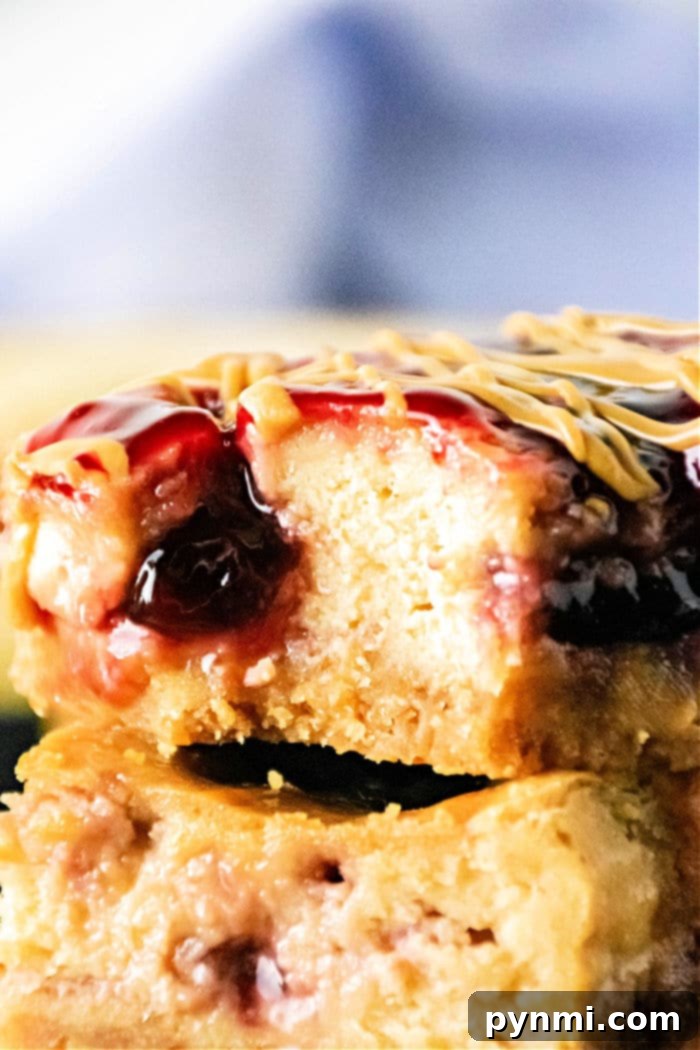 Ultimate Peanut Butter Jelly Bars 5 Peanut Butter and Jelly cheesecake