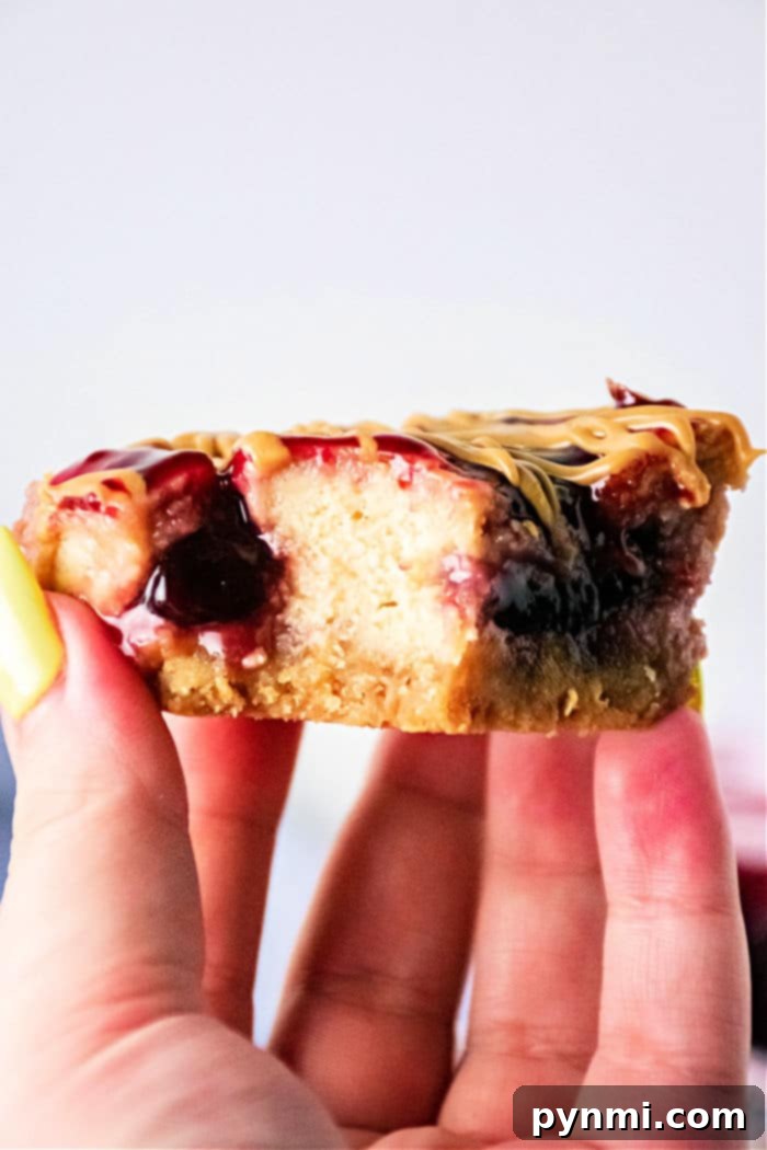 Ultimate Peanut Butter Jelly Bars 7 Close-up of a hand holding a peanut butter and jelly cheesecake bar with a bite taken out.