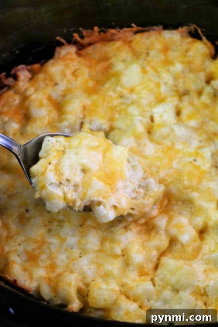 Effortless Leftover Ham Crockpot Meals 7 Cheesy Hashbrown Potatoes Crockpot