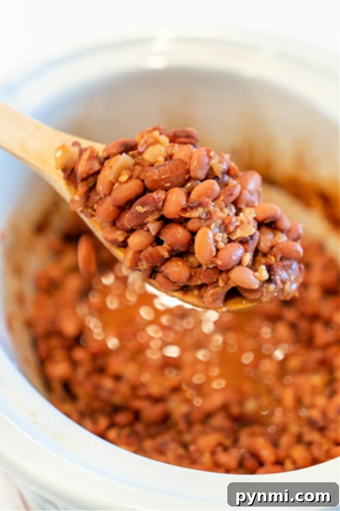 Effortless Leftover Ham Crockpot Meals 9 Crockpot Recipes with Leftover Ham