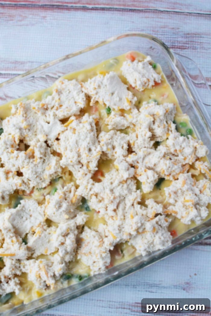 Unbaked chicken pot pie casserole topped with Red Lobster biscuits.