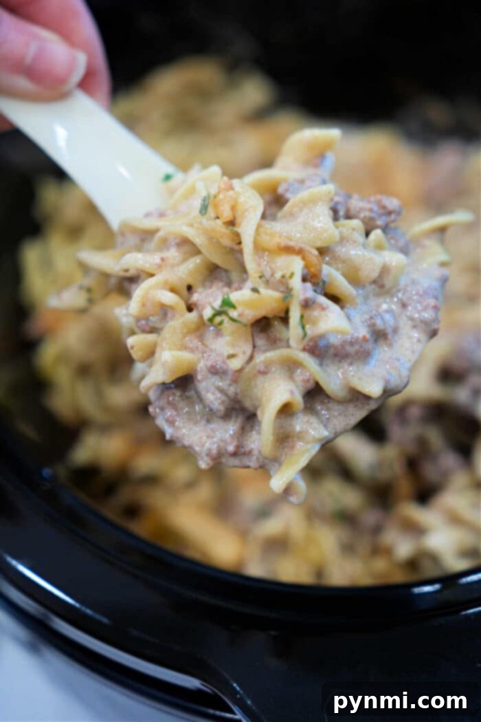Slow Cooker Beef Stroganoff with Ground Beef 5 A spoonful of creamy Ground Beef Stroganoff.