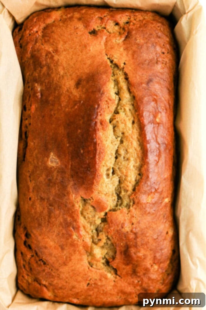 Power-Packed Banana Bread 2 Golden brown loaf of Protein Banana Bread in a parchment-lined baking pan, viewed from above.