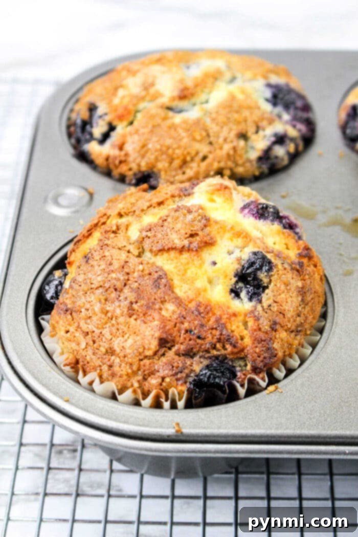 A golden-brown blueberry muffin made with blueberry muffin mix rests in a muffin tin on a cooling rack.