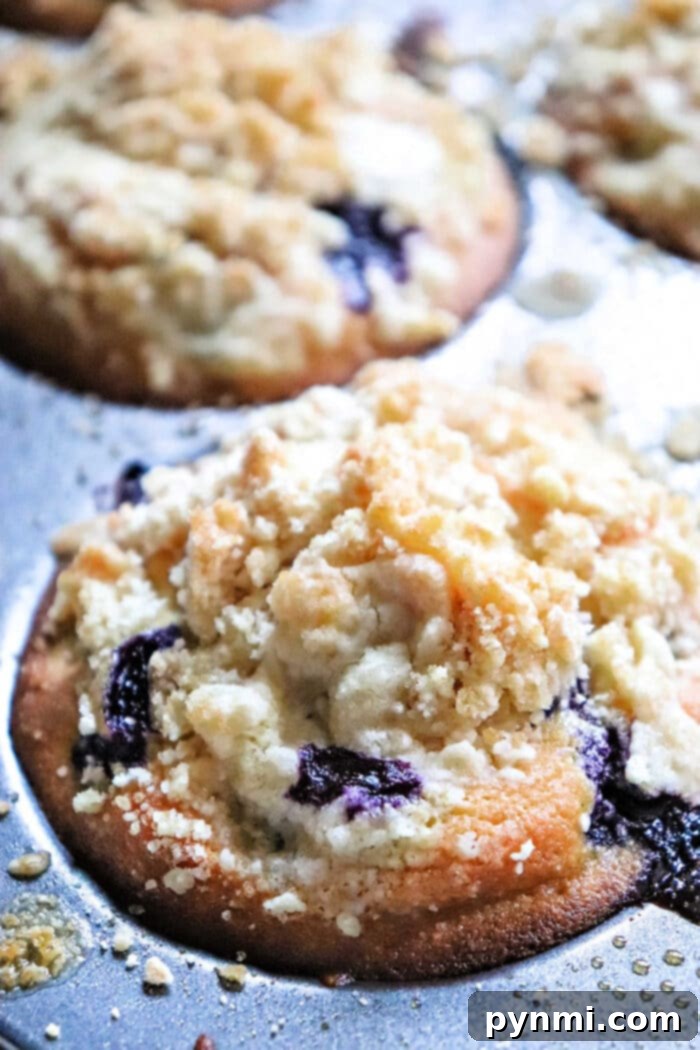 A close-up of a blueberry muffin with crumbly streusel topping in a metal muffin pan, showing how Blueberry muffin mix can improve texture for even better muffins.