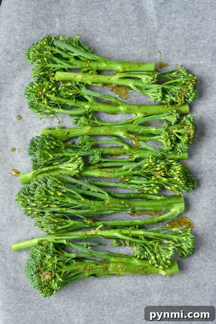 Fresh broccolini with seasoning drizzled on top, arranged on parchment paper, ready to be transformed into delicious oven roasted broccolini.