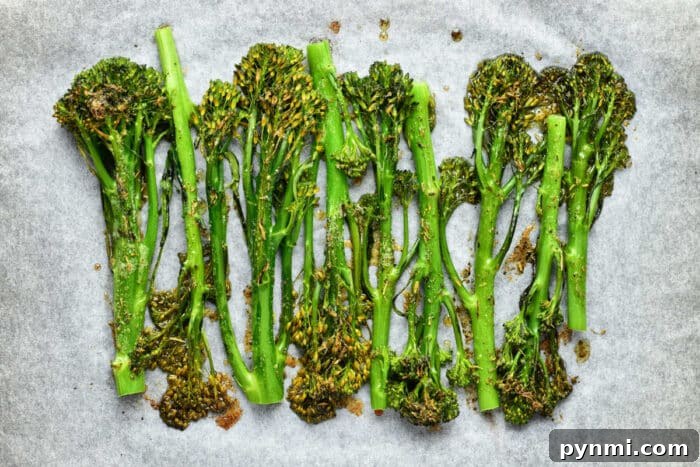 Oven roasted broccolini arranged on parchment paper, perfectly lightly browned and seasoned for a flavorful bite.