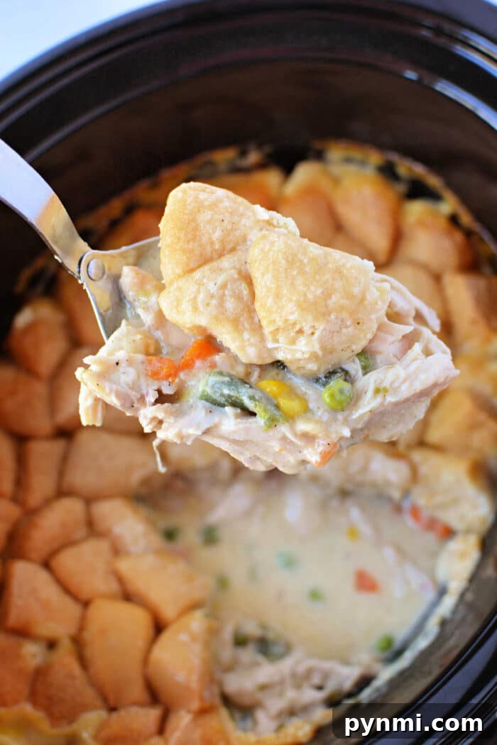 Slow-Cooker Chicken Pot Pie Casserole Recipe 7 A spoon lifts creamy chicken and vegetables with biscuit topping from a slow cooker, capturing all the comforting flavors of Chicken Pot Pie in one delicious scoop.