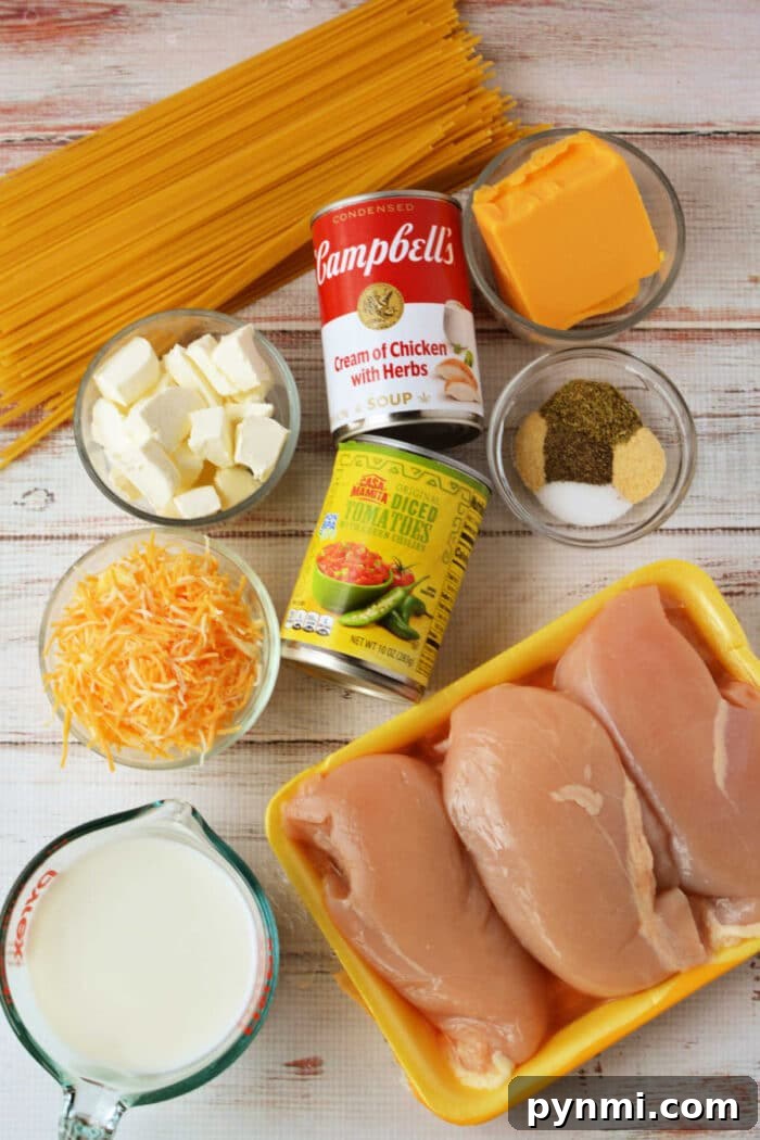 Creamy Slow-Cooker Chicken Spaghetti 3 A delicious array of ingredients for Crockpot Chicken Spaghetti is displayed on the table: raw chicken breasts, spaghetti, cheese, milk, cream soup, diced tomatoes, spices, and butter.